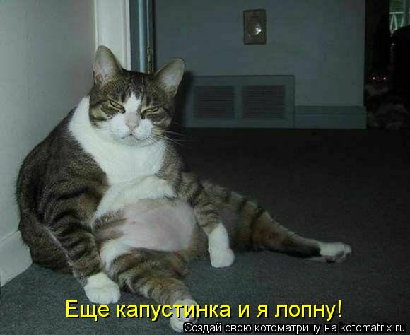 Котоматрица: Еще капустинка и я лопну!
