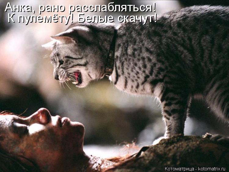 Анка, рано расслабляться! К пулемёту! Белые скачут!... Котоматрица: Анка, рано расслабляться! К пулемёту! Белые скачут!