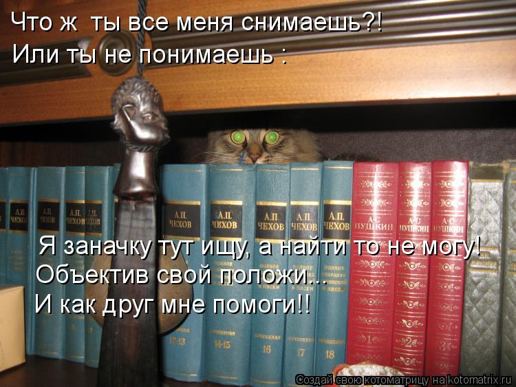 Котоматрица: Что ж  ты все меня снимаешь?! Или ты не понимаешь : Я заначку тут ищу, а найти то не могу! Объектив свой положи... И как друг мне помоги!!