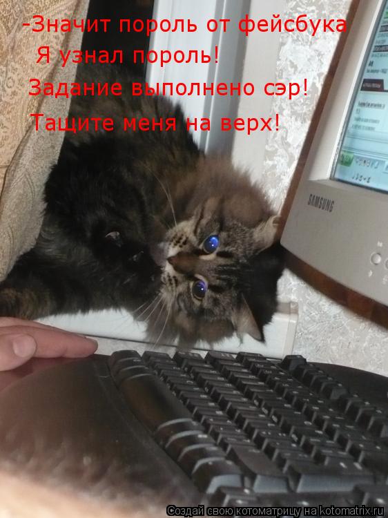 Котоматрица: -Значит пороль от фейсбука Я узнал пороль! Задание выполнено сэр! Тащите меня на верх!