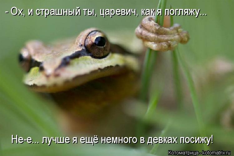 - Ох, и страшный ты, царевич, как я погляжу... Не-е... лучше я ещё немного в девках посижу!... Котоматрица: - Ох, и страшный ты, царевич, как я погляжу... Не-е... лучше я ещё немного в девках посижу!