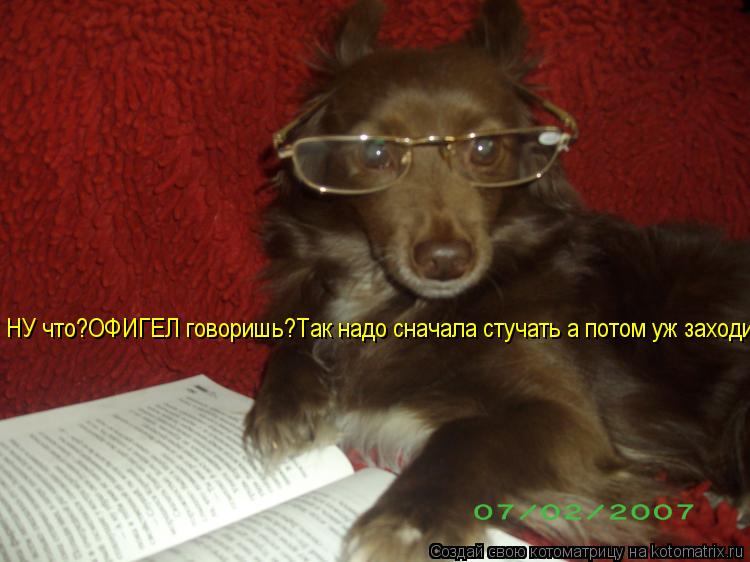 НУ что?ОФИГЕЛ говоришь?Так надо сначала стучать а потом уж заходить!... Котоматрица: НУ что?ОФИГЕЛ говоришь?Так надо сначала стучать а потом уж заходить!