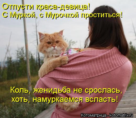 Котоматрица: Отпусти краса-девица! С Муркой, с Мурочкой проститься! Коль, женидьба не срослась, хоть, намуркаемся всласть!