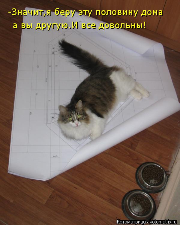 Котоматрица: -Значит,я беру эту половину дома а вы другую.И все довольны!