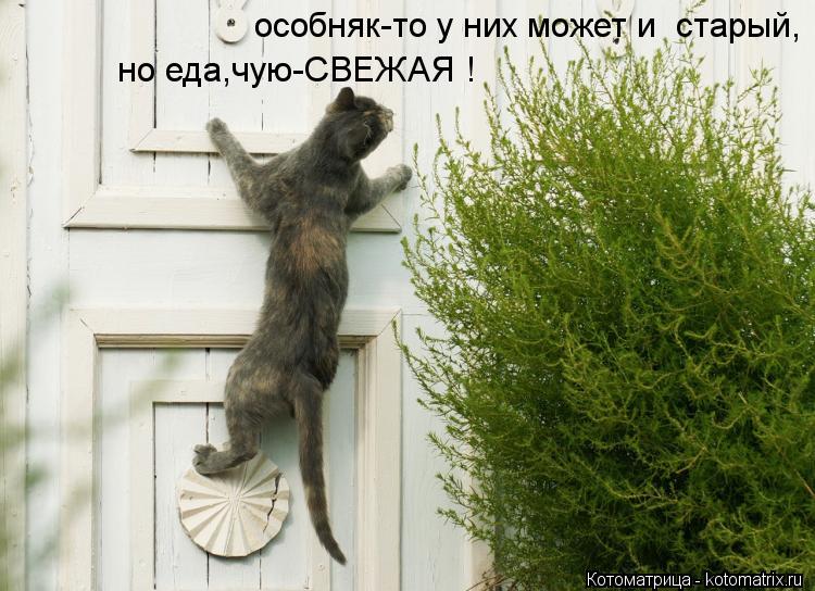 особняк-то у них может и старый, но еда,чую-СВЕЖАЯ !... Котоматрица: особняк-то у них может и старый, но еда,чую-СВЕЖАЯ !