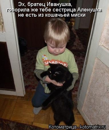 Эх, братец Иванушка, говорила же тебе сестрица Аленушка не есть из кошачьей миски... Котоматрица: Эх, братец Иванушка, говорила же тебе сестрица Аленушка не есть из кошачьей миски