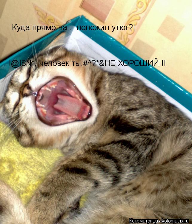 Куда прямо на... положил утюг?! !@!$№, человек ты,#^?*&НЕ ХОРОШИЙ!!!... Котоматрица: Куда прямо на... положил утюг?! !@!$№, человек ты,#^?*&НЕ ХОРОШИЙ!!!