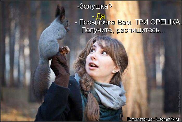 Котоматрица: - Да  - Посылочка Вам. ТРИ ОРЕШКА...  Получите, распишитесь... -Золушка?