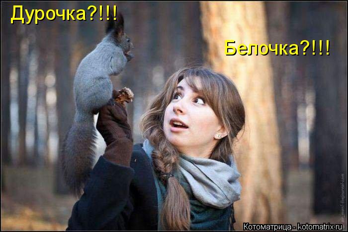 Белочка?!!! Дурочка?!!!... Котоматрица: Белочка?!!! Дурочка?!!!