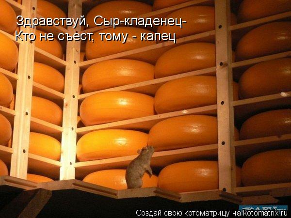 Здравствуй, Сыр-кладенец- Кто не съест, тому - капец... Котоматрица: Здравствуй, Сыр-кладенец- Кто не съест, тому - капец