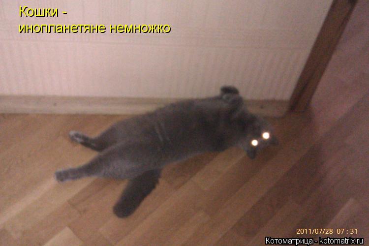 Кошки - инопланетяне немножко... Котоматрица: Кошки - инопланетяне немножко