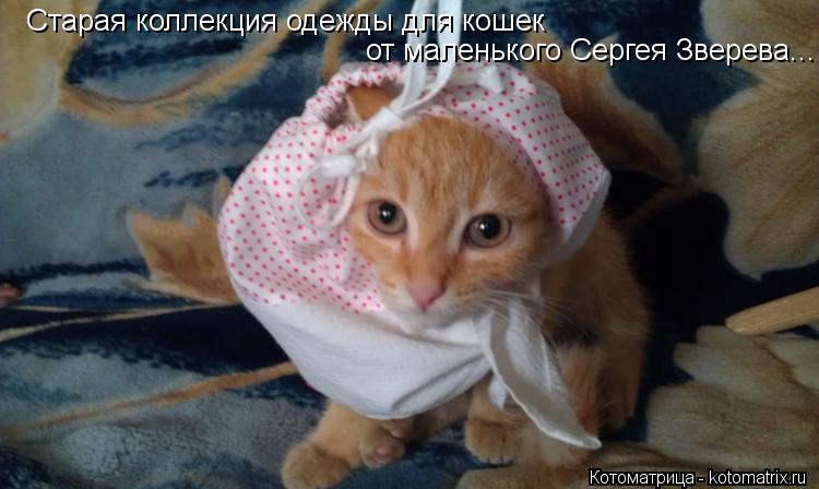 Старая коллекция одежды для кошек от маленького Сергея Зверева...... Котоматрица: Старая коллекция одежды для кошек от маленького Сергея Зверева...