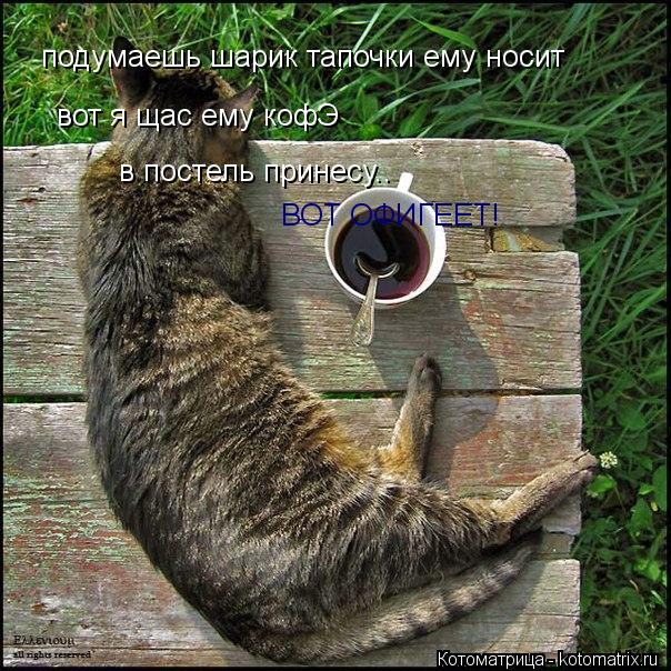 Котоматрица: подумаешь шарик тапочки ему носит вот я щас ему кофЭ в постель принесу.. ВОТ ОФИГЕЕТ!
