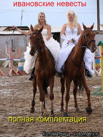Котоматрица: ивановские невесты  полная комплектация