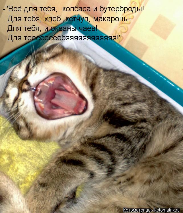 -"Всё для тебя, колбаса и бутерброды! Для тебя, хлеб, кетчуп, макароны! Для тебя, и океаны чаев! Для... Котоматрица: -"Всё для тебя, колбаса и бутерброды! Для тебя, хлеб, кетчуп, макароны! Для тебя, и океаны чаев! Для теееееееебяяяяяяяяяяяя!"