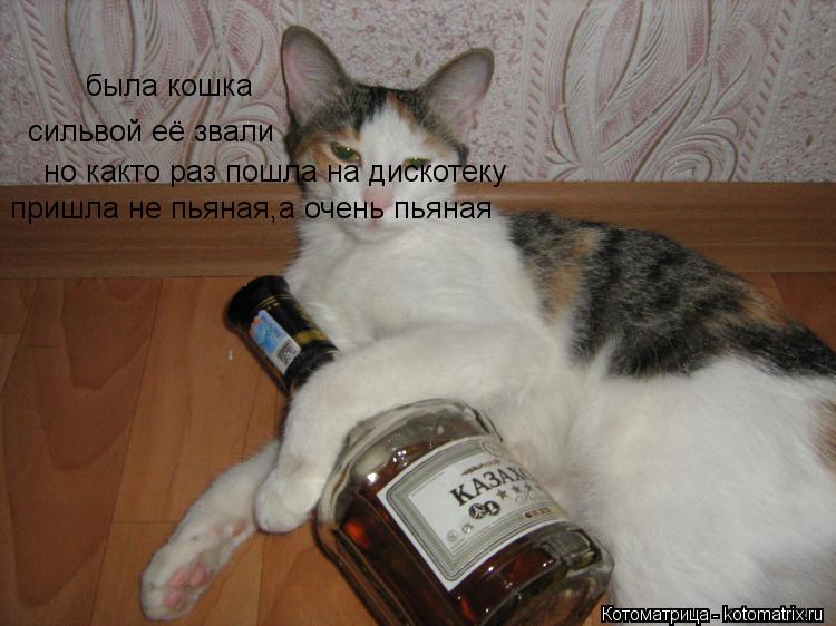 Котоматрица: была кошка сильвой её звали но както раз пошла на дискотеку пришла не пьяная,а очень пьяная