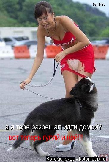 Котоматрица: а я тебе разрешал идти домой? вот теперь гуляй и ной!!!