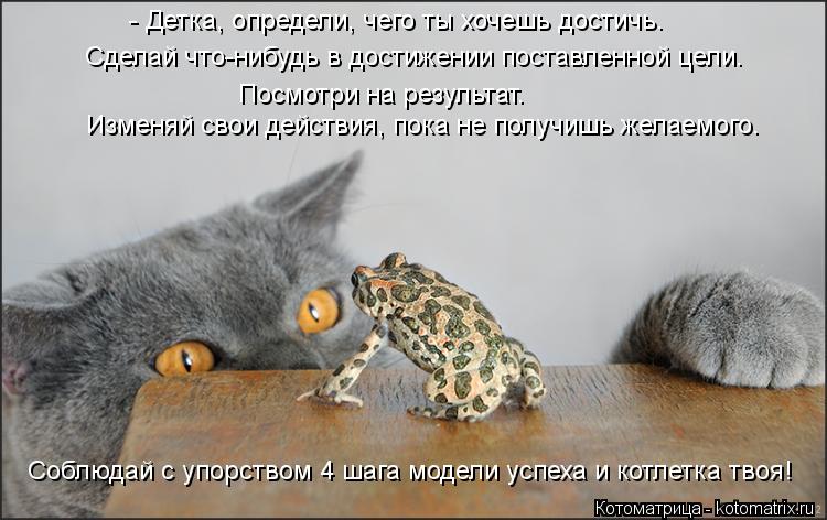 Котоматрица: - Детка, определи, чего ты хочешь достичь. Сделай что-нибудь в достижении поставленной цели. Посмотри на результат. Изменяй свои действия, по