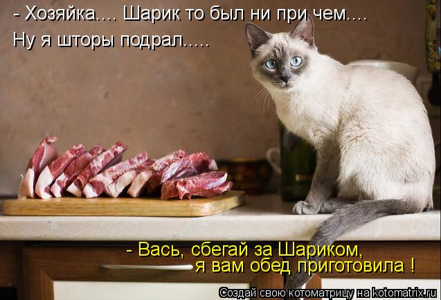 - Хозяйка.... Шарик то был ни при чем.... Ну я шторы подрал..... - Вась, сбегай за Шариком, я вам об... Котоматрица: - Хозяйка.... Шарик то был ни при чем.... Ну я шторы подрал..... - Вась, сбегай за Шариком, я вам обед приготовила !