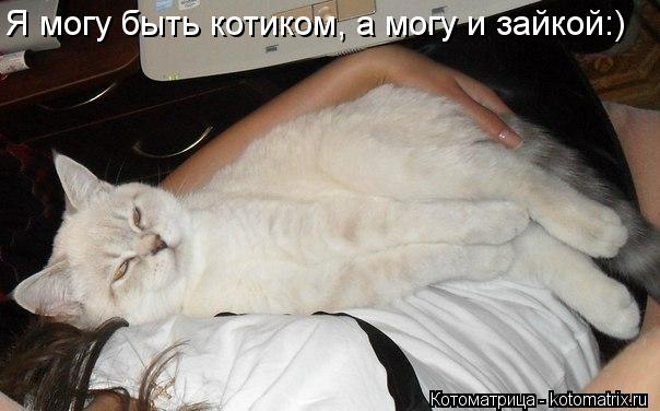 Котоматрица: Я могу быть котиком, а могу и зайкой:)