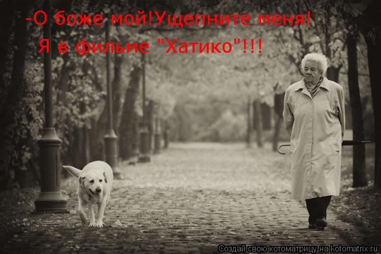 Котоматрица: -О боже мой!Ущепните меня! Я в фильме "Хатико"!!!