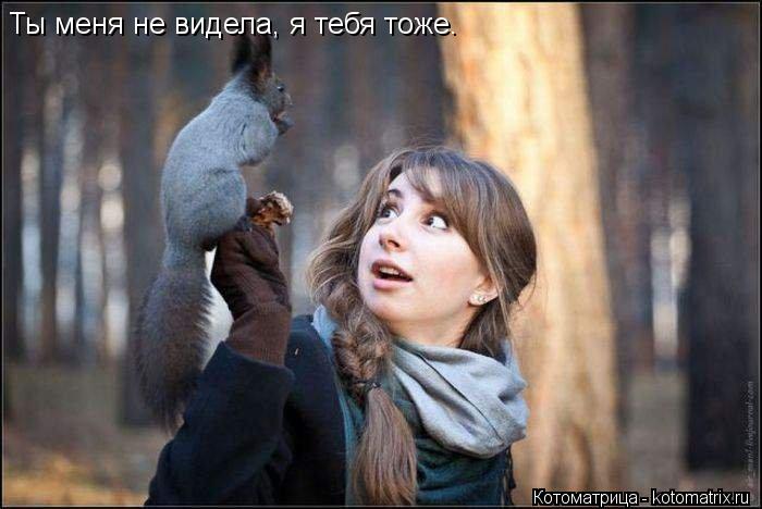 Ты меня не видела, я тебя тоже.... Котоматрица: Ты меня не видела, я тебя тоже.