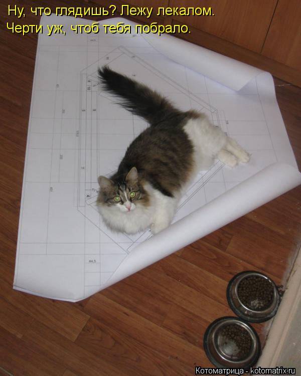Котоматрица: Ну, что глядишь? Лежу лекалом. Черти уж, чтоб тебя побрало.