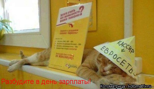 Котоматрица: Разбудите в день зарплаты!