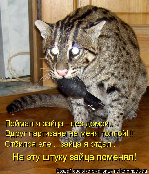 Котоматрица: Поймал я зайца - нес домой... Вдруг партизаны на меня толпой!!! Отбился еле... зайца я отдал.... На эту штуку зайца поменял!
