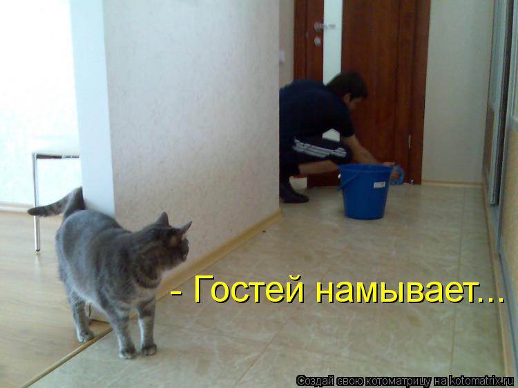 - Гостей намывает...... Котоматрица: - Гостей намывает...