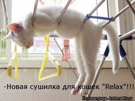 Котоматрица: -Новая сушилка для кошек "Relax"!!!