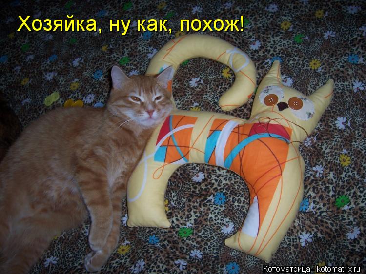 Котоматрица: Хозяйка, ну как, похож!