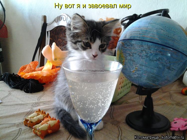 Ну вот я и завоевал мир... Котоматрица: Ну вот я и завоевал мир