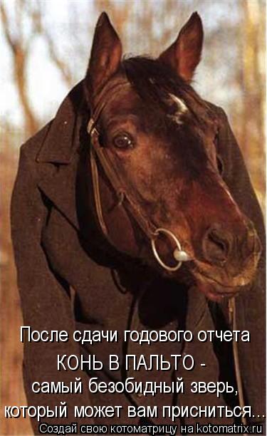 После сдачи годового отчета который может вам присниться... КОНЬ В ПАЛЬТО - самый безобидный зверь,... Котоматрица: После сдачи годового отчета который может вам присниться... КОНЬ В ПАЛЬТО - самый безобидный зверь,