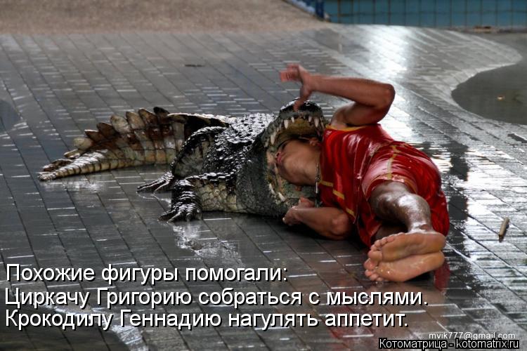 Похожие фигуры помогали: Циркачу Григорию собраться с мыслями. Крокодилу Геннадию нагулять аппетит.... Котоматрица: Похожие фигуры помогали: Циркачу Григорию собраться с мыслями. Крокодилу Геннадию нагулять аппетит.