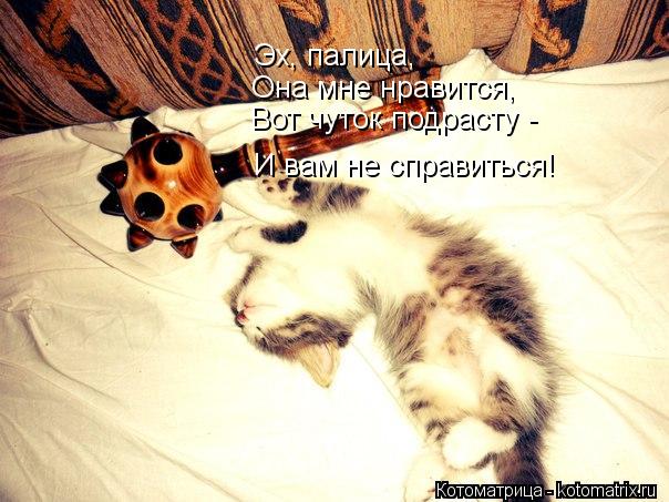 Эх, палица, Она мне нравится, Вот чуток подрасту - И вам не справиться!... Котоматрица: Эх, палица, Она мне нравится, Вот чуток подрасту - И вам не справиться!