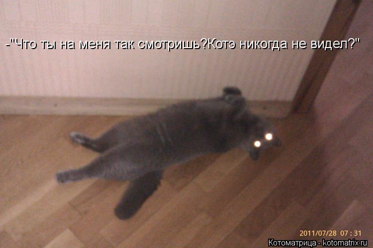 -"Что ты на меня так смотришь?Котэ никогда не видел?"... Котоматрица: -"Что ты на меня так смотришь?Котэ никогда не видел?"