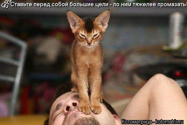 Ставьте перед собой большие цели - по ним тяжелее промазать! Ставьте перед собой большие цели - по ни... Котоматрица: Ставьте перед собой большие цели - по ним тяжелее промазать! Ставьте перед собой большие цели - по ним тяжелее промазать! Ставьте перед собо