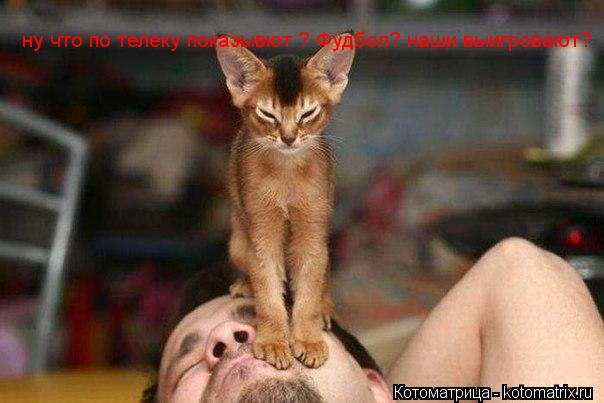 ну что по телеку показывют ? Фудбол? наши выигровают?... Котоматрица: ну что по телеку показывют ? Фудбол? наши выигровают?