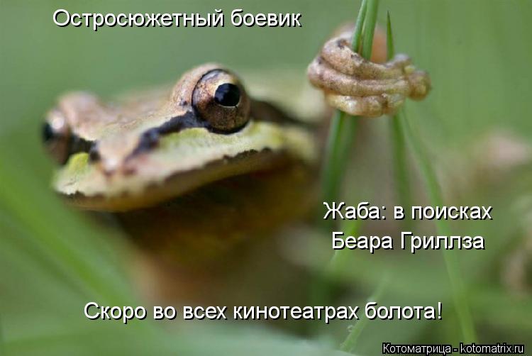 Остросюжетный боевик Жаба: в поисках Беара Гриллза Скоро во всех кинотеатрах болота!... Котоматрица: Остросюжетный боевик Жаба: в поисках Беара Гриллза Скоро во всех кинотеатрах болота!