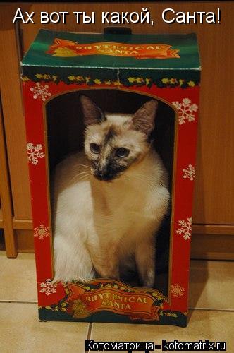 Котоматрица: Ах вот ты какой, Санта!