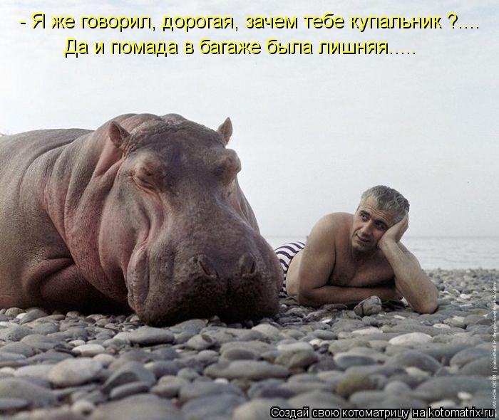 Котоматрица: - Я же говорил, дорогая, зачем тебе купальник ?.... Да и помада в багаже была лишняя.....