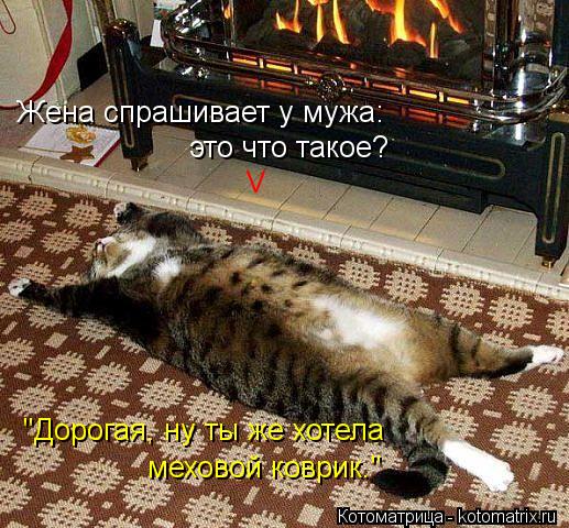 Котоматрица: это что такое? "Дорогая, ну ты же хотела меховой коврик." Жена спрашивает у мужа: V