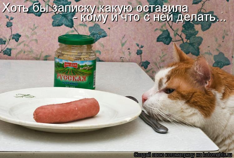 Хоть бы записку какую оставила - кому и что с ней делать...... Котоматрица: Хоть бы записку какую оставила - кому и что с ней делать...