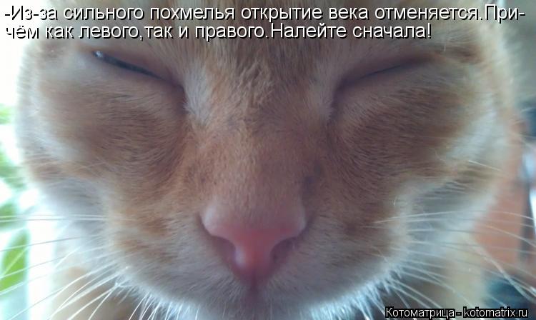 Котоматрица: -Из-за сильного похмелья открытие века отменяется.При- чём как левого,так и правого.Налейте сначала!