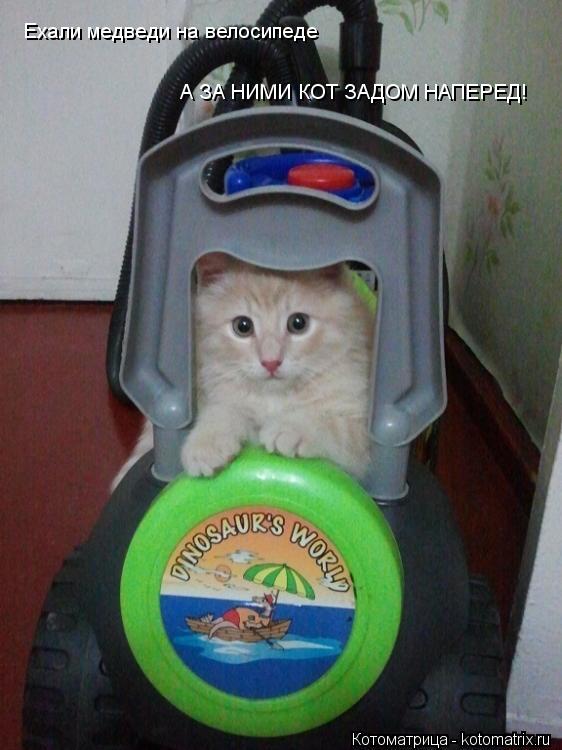 Котоматрица: Ехали медведи на велосипеде, а за ними КОТ задом наперед!!!! Ехали медведи на велосипеде А ЗА НИМИ КОТ ЗАДОМ НАПЕРЕД!