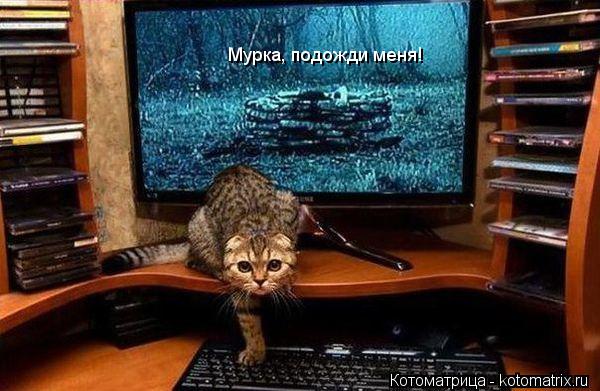 Котоматрица: Мурка, подожди меня!