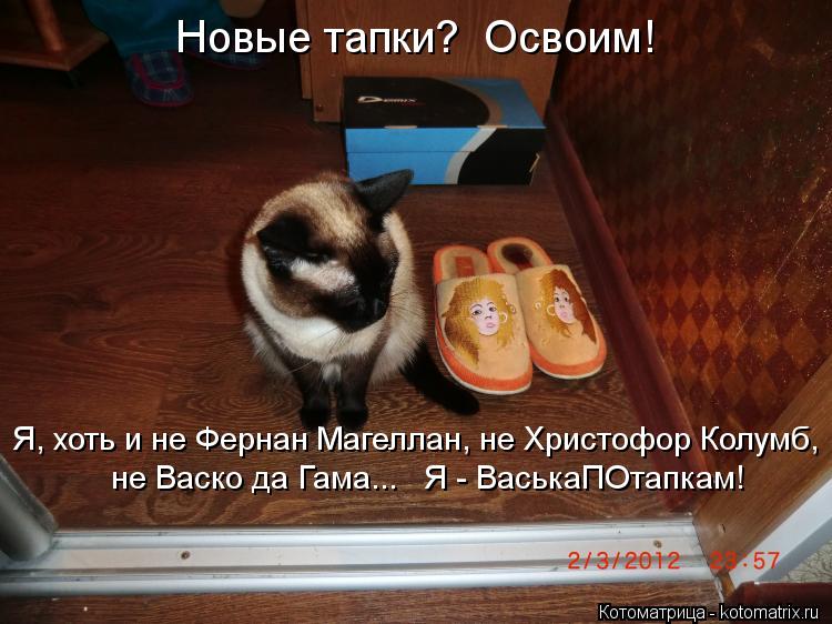 Новые тапки? Освоим! Я, хоть и не Фернан Магеллан, не Христофор Колумб, не Васко да Гама... Я - В... Котоматрица: Новые тапки? Освоим! Я, хоть и не Фернан Магеллан, не Христофор Колумб, не Васко да Гама... Я - ВаськаПОтапкам!