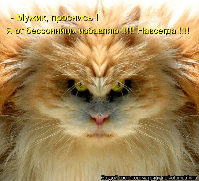 Котоматрица: - Мужик, проснись ! Я от бессонницы избавляю !!!!! Навсегда !!!!
