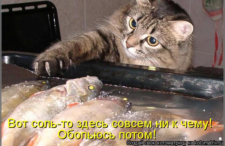 Котоматрица: Обопьюсь потом! Вот соль-то здесь совсем ни к чему!